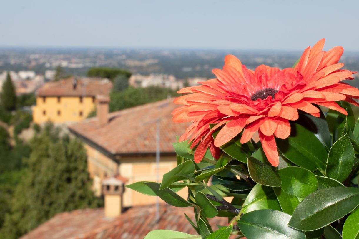 rossa emozione deliziosa villetta a schiera sui colli bolognesi